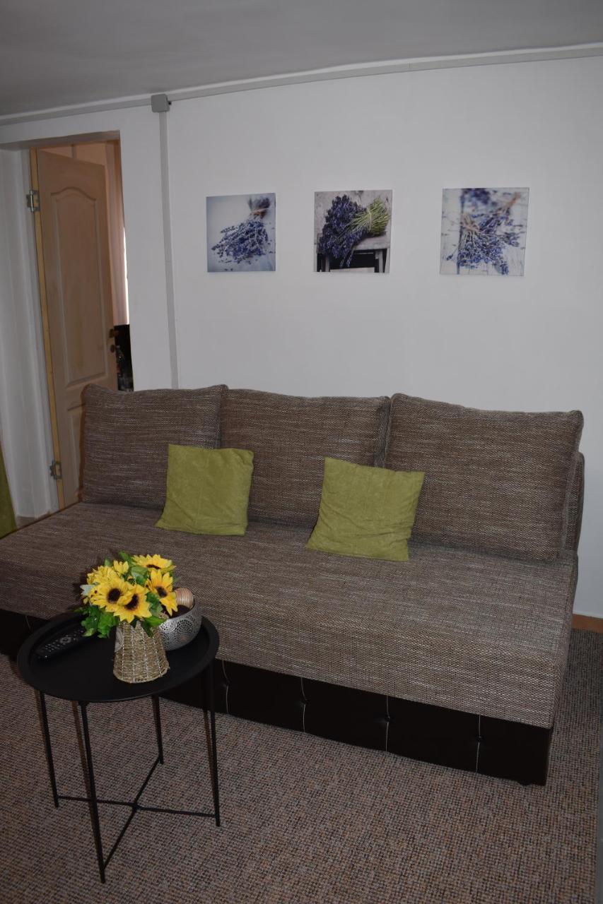 Apartament Zimbru クルージュ＝ナポカ エクステリア 写真