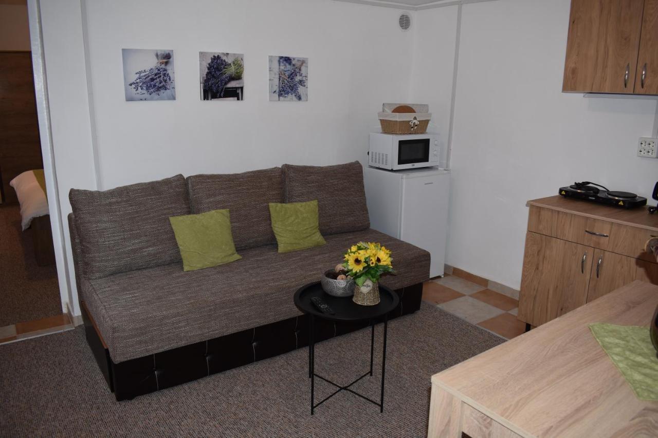 Apartament Zimbru クルージュ＝ナポカ エクステリア 写真